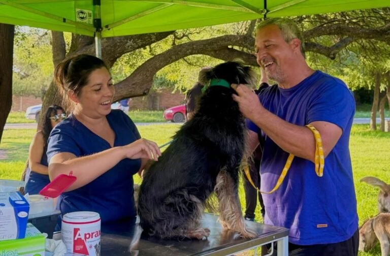 Este miércoles habrá vacunación antirrábica gratuita para perros y gatos en Rincón del Este